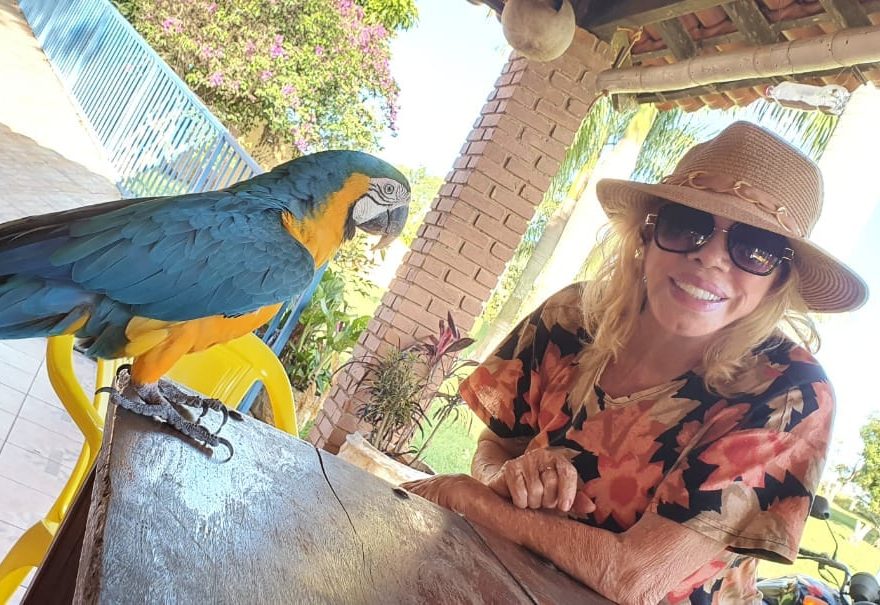 94527798_2655860308069924_3397554430919311360_n